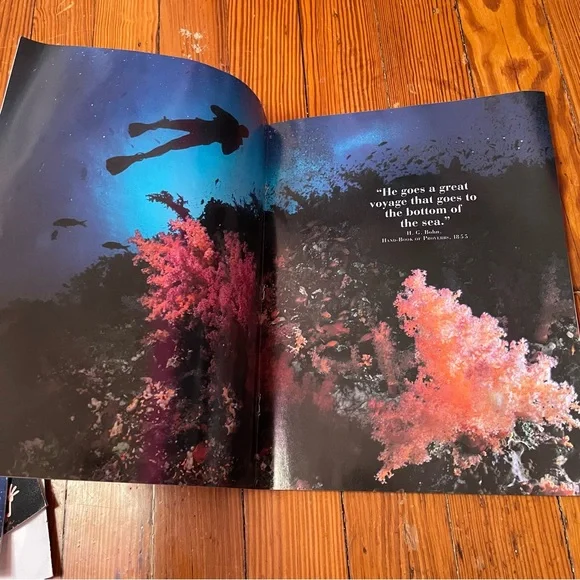 Kids Discover Bundle - Water Themed - Picture 14 of 14